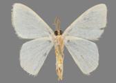 AZ26-0197V